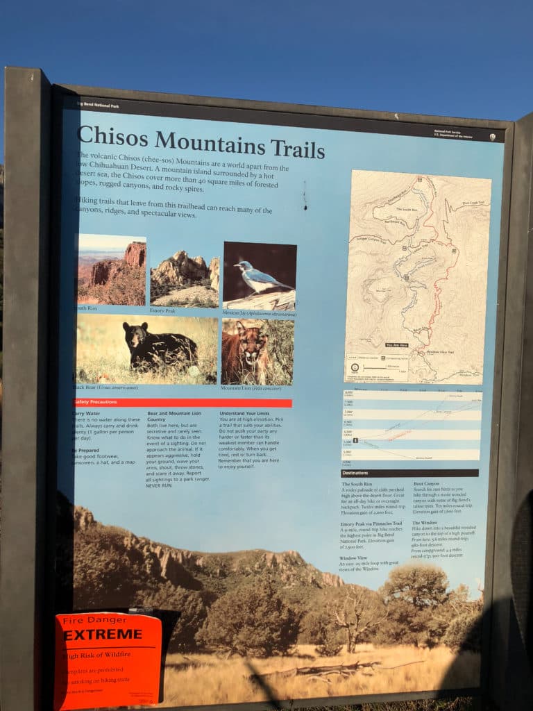 Big Bend South Rim Trail