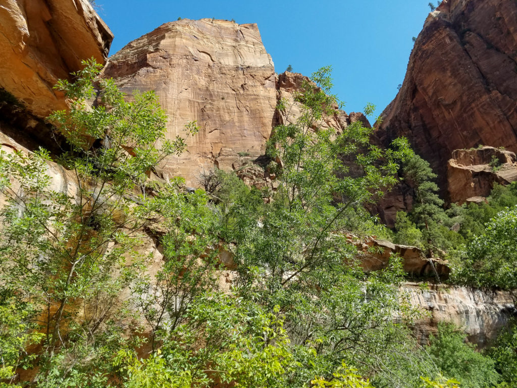 Zion National Park