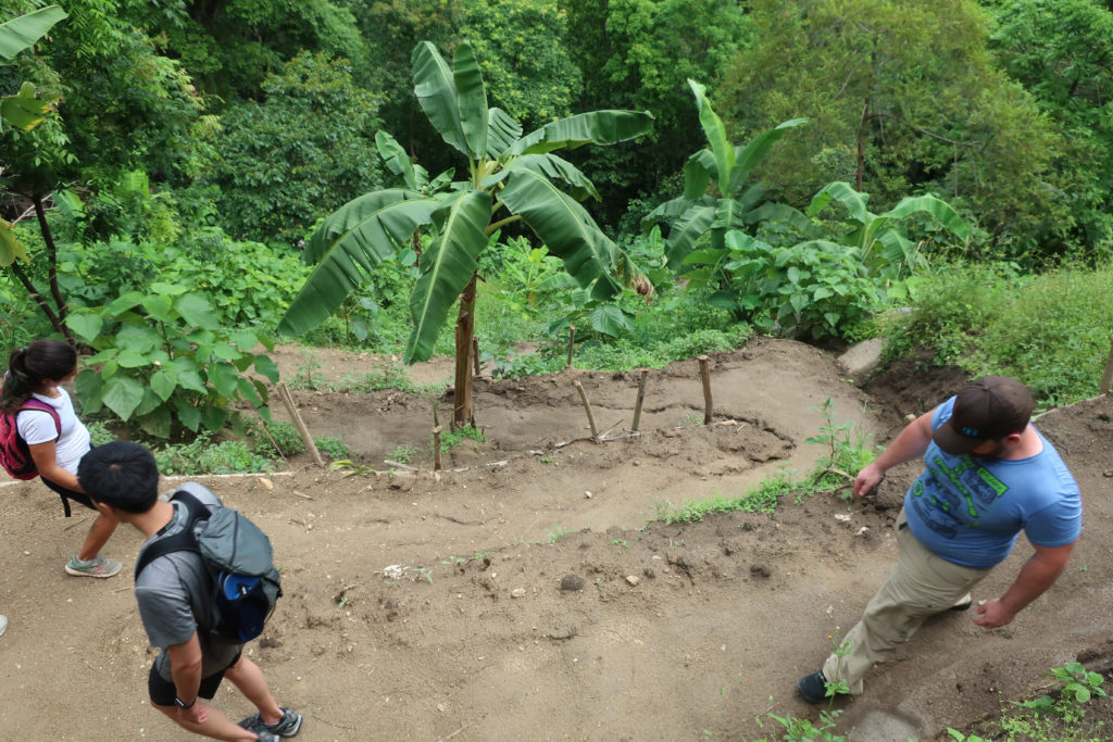 Minca Jungle Hike
