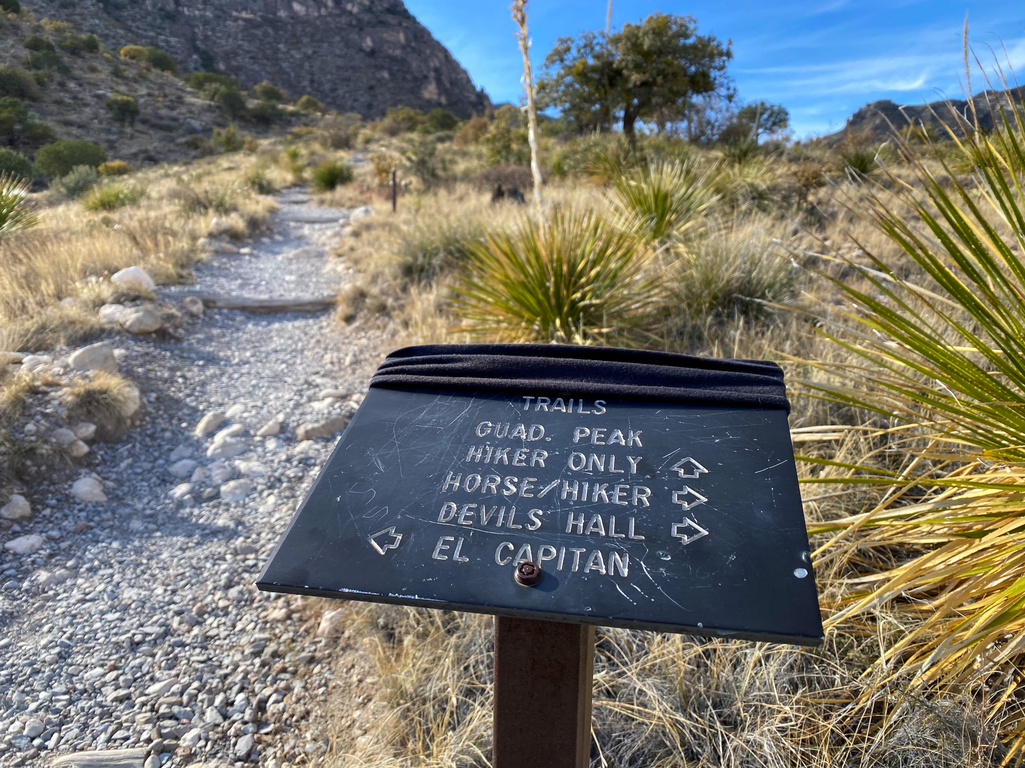 Guadalupe Mountains National Park