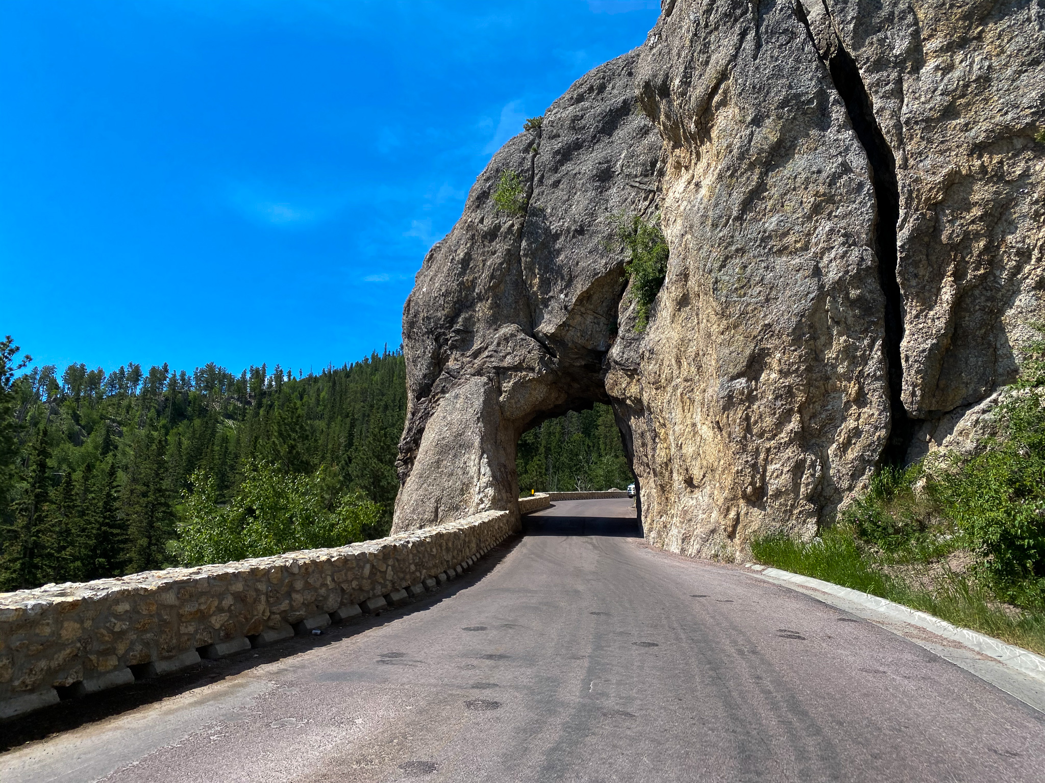 South Dakota