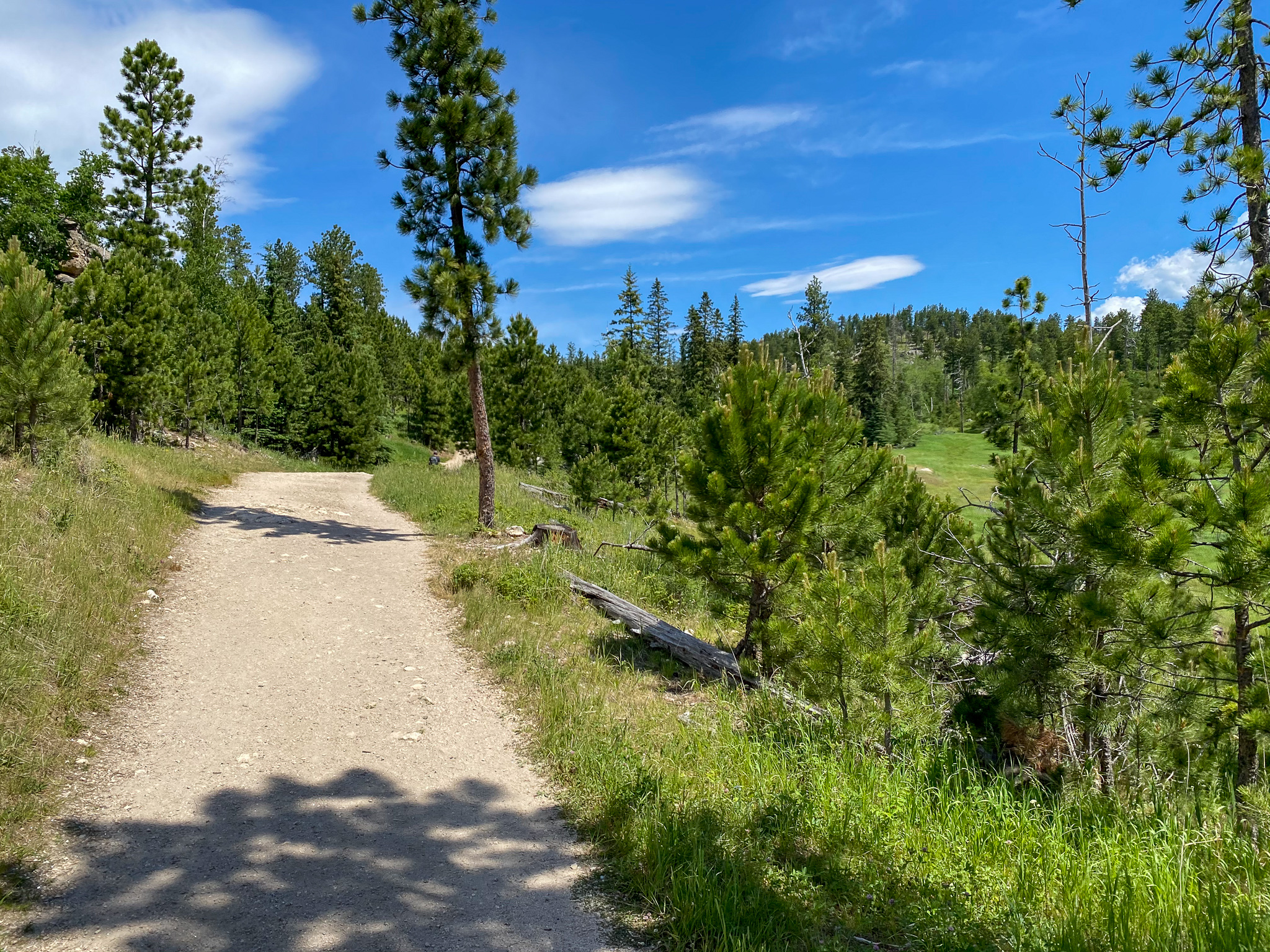 Black Elk Peak