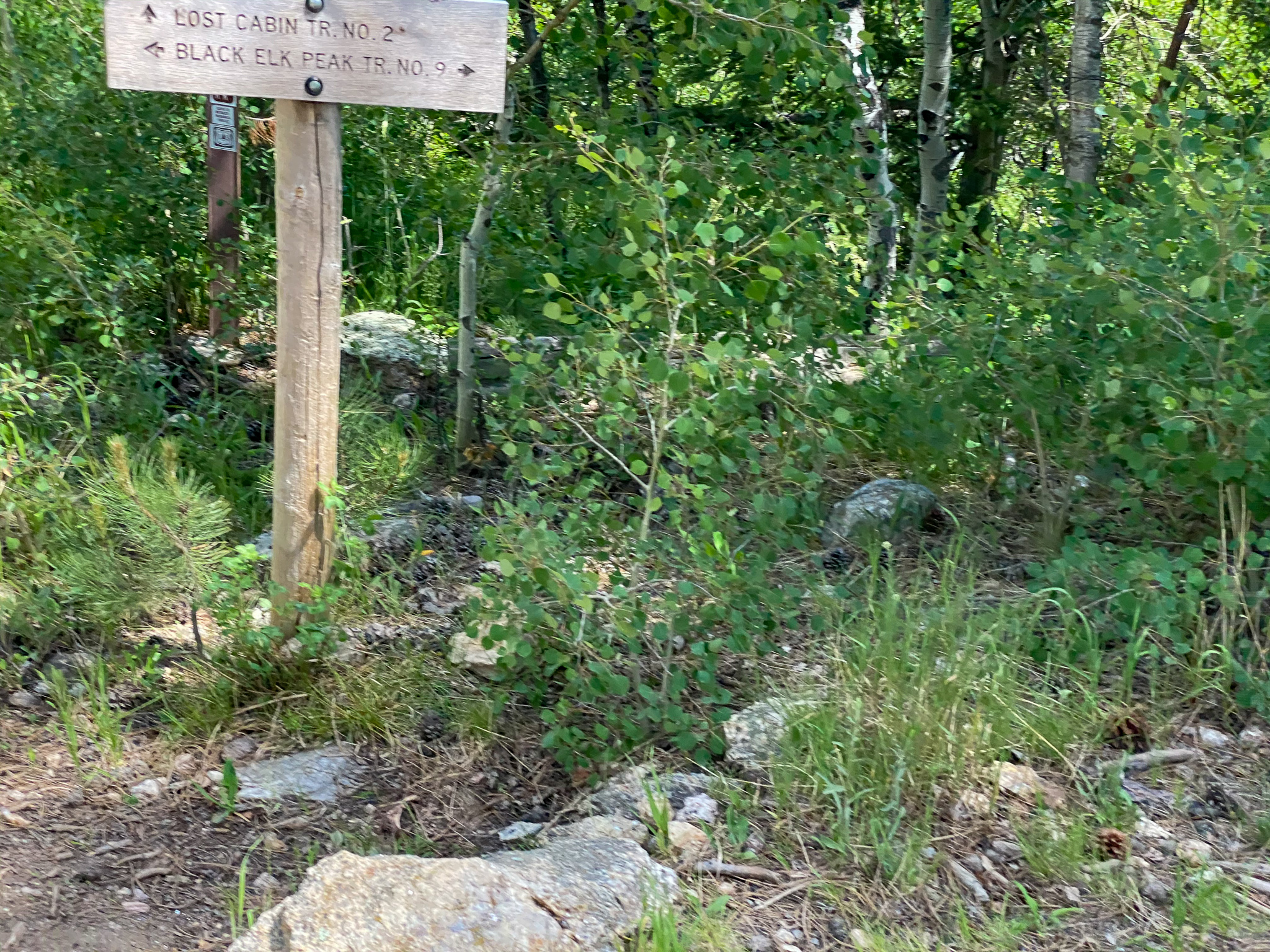 Black Elk Peak