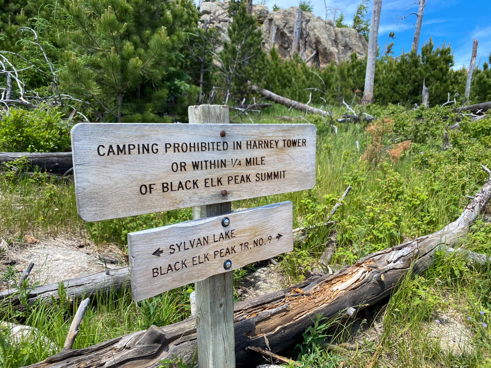 Black Elk Peak