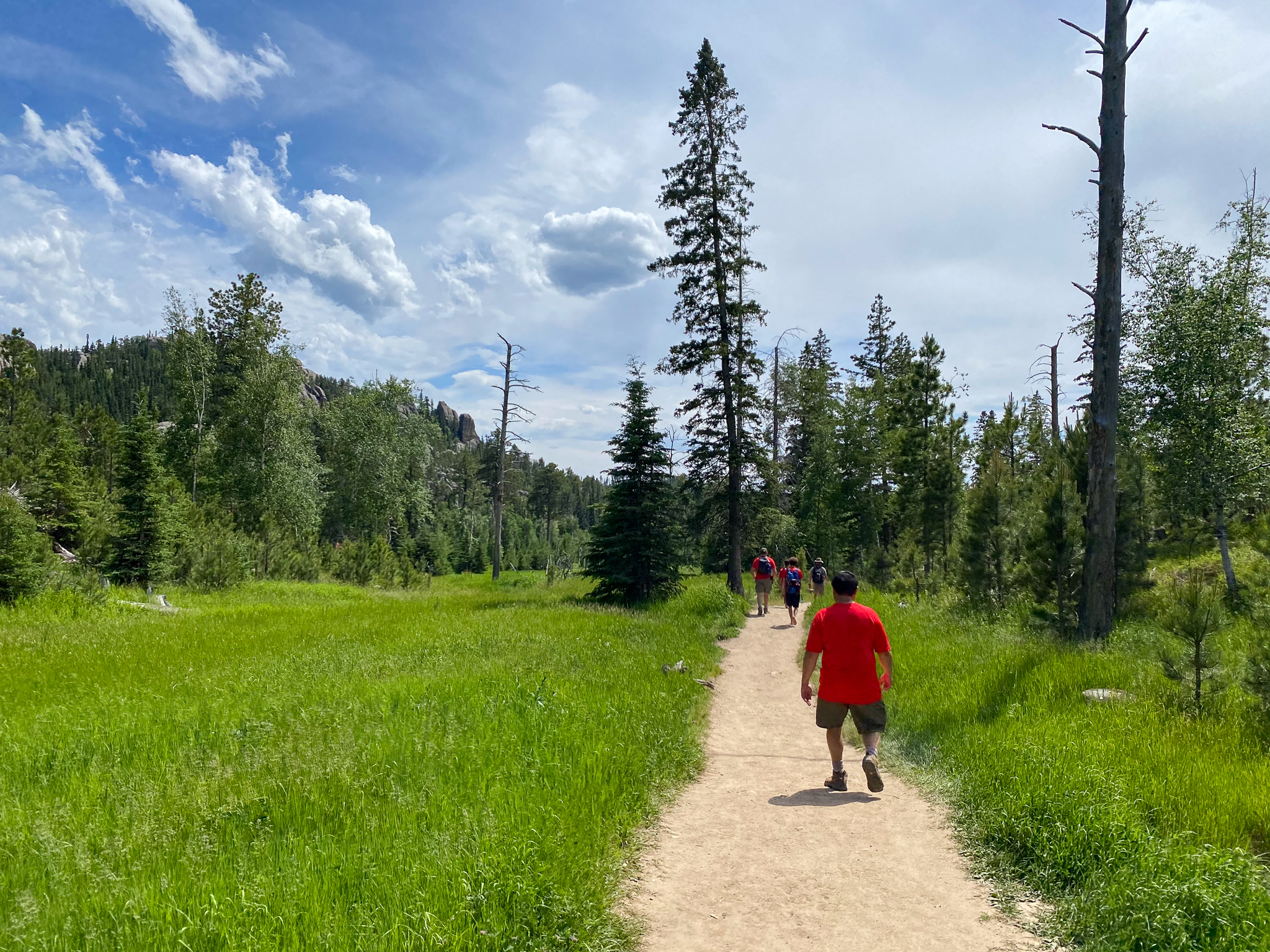 Black Elk Peak