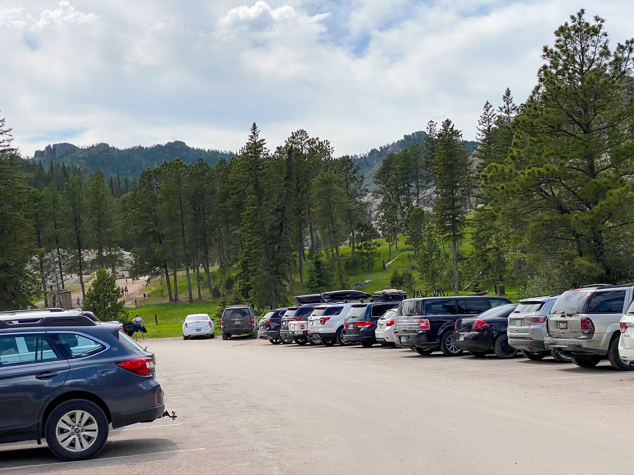 Custer State Park