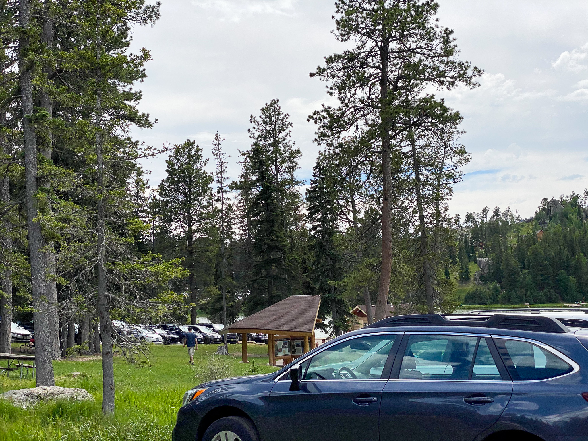 Custer State Park