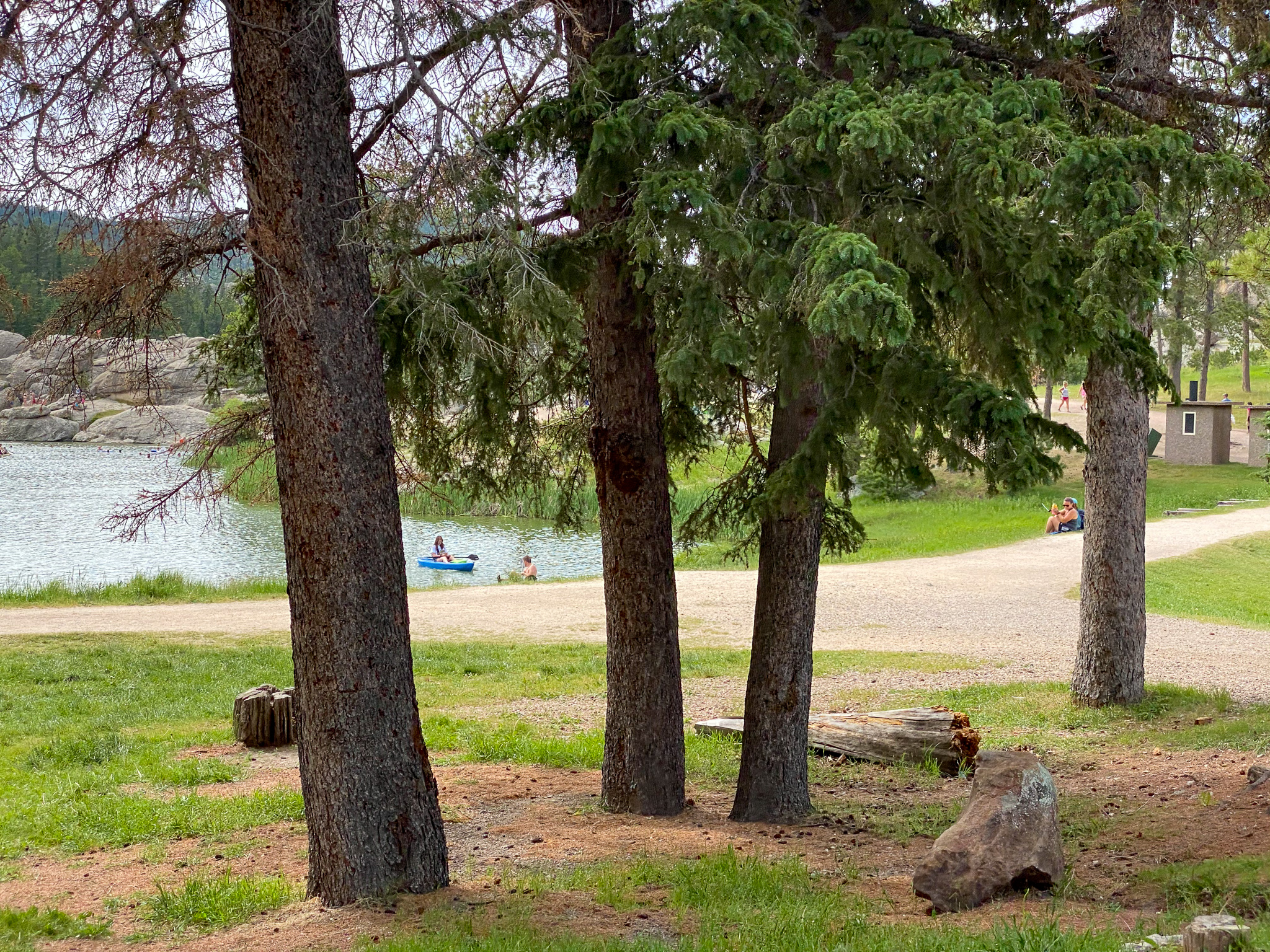 Custer State Park